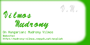 vilmos mudrony business card